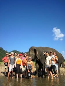 The Wide Awakening at the Elephant Reserve
