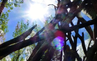 Why Are the Shifts Happening So Fast, and What is Beyond Awakening?