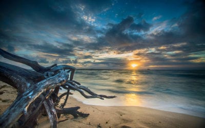 When Life Seems to Go Slow … Or Even Backwards …