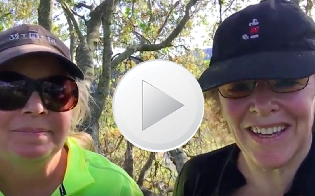 VIDEO: Finding Freedom and Clarity in Minutes vs.Years