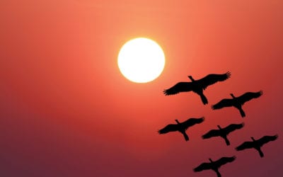 Flying forward is the antidote to fear…