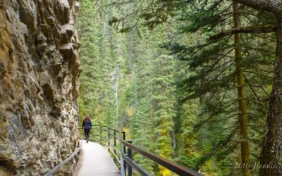 Surviving vs. Thriving: Which path are you going to choose?