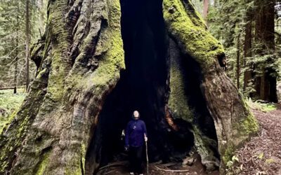 3 Signs You’re Going Through an Evolution