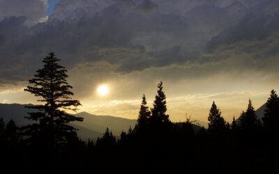 When It Feels Like Too Much… 