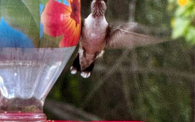 There’s Something About Being Truly Seen…