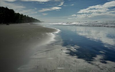 When “I Am” Dances with “You Am”