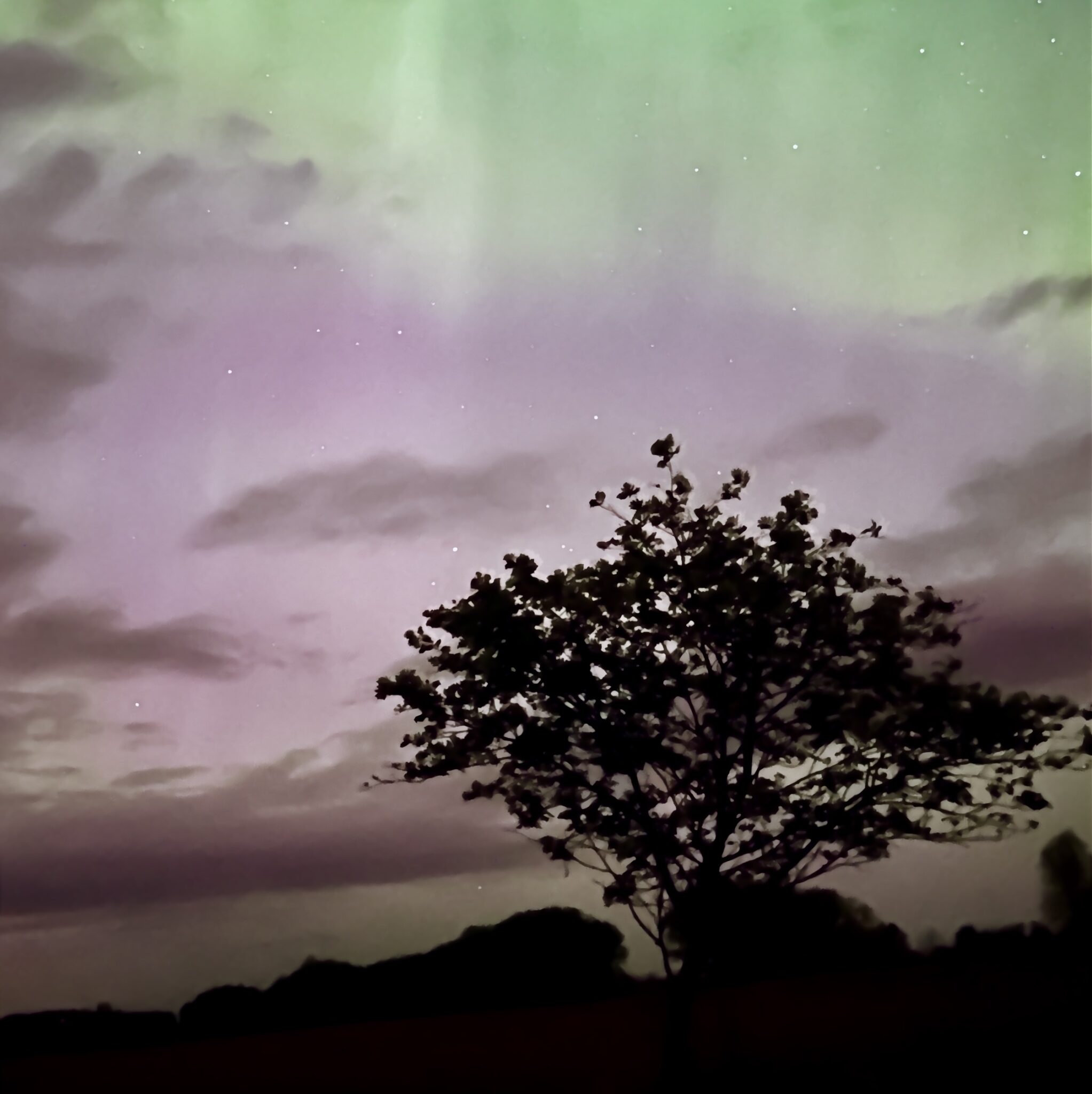 Reset and Renewal Clarity Image of a crystal sphere being held up to the sun