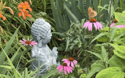 The Future in Your Cells