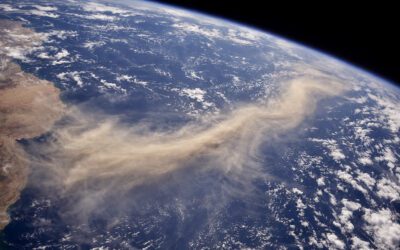 When you forget how big you are!